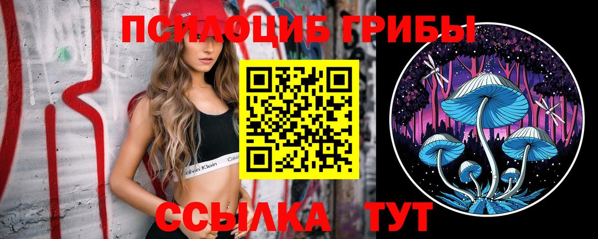 Новодвинск  Галлюциногенные грибы прущие грибы  Вход с VPN 